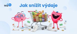 jak snížit výdaje