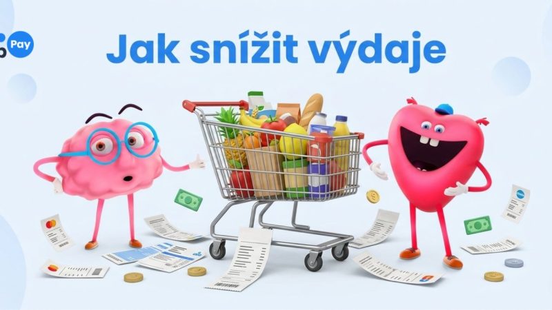 jak snížit výdaje
